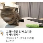 크림히어로즈 <b>썸네일</b>ㅋㅋㄱㅋ
