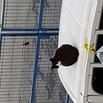 [드루와] 3시간자고 서울갔<b>디가</b> 바로 학원간다