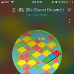 [EXO] 엑소 덕질 <b>n</b>년차의 병크 맞이