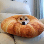 [드루와] ❤❤❤먹방 추천간다⛥⛥⛥⛥⛥