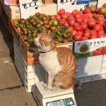 [댓글부탁해] <b>힙한</b> 아이돌노래 추천좀해줭