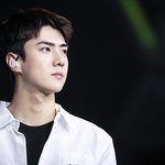 [EXO] ㄷㅁㅅ방금 올라온<b>사진</b> <b>개</b>이쁘다