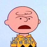 아리아나그란데 <b>인종</b>차별 했었음?