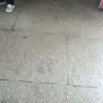 띤구기다릴개