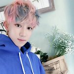 [세븐틴] 새삼 느끼는 디에잇 가능성