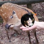 [방탄소년단] 정국 <b>이미지</b>..jpg