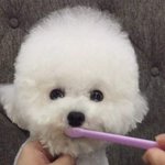 [조언부탁해] ㅎㅂㅅㅂㅅㅂㅅㅂ나어떡해 도와줘