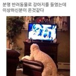 학교 갔다 오면 <b>폭식</b>하는 판녀 있냐 ㅜㅜㅜ