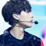 [연예인] 여우 같은 사랑. 보충을 환영하다