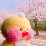 [<b>연구</b>결과] 네이트판 이쁜 판녀 특징