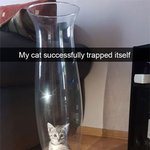 거기서 머<b>해</b> <b>난</b>쟁아