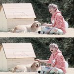 [강다니엘] 확신의 힐링<b>캐</b>