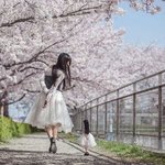 인형과 <b>커플샷</b> 찍는 여자