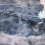 [EXO] 근데 <b>sm</b>은 대체 언제 고소하는거임?????