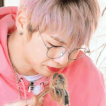 [강다니엘] 강다니엘 와앙 <b>욤</b>뇸뇸