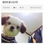 야 <b>수련</b>회 고데기 어디 숨기냐