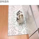 [댓글부탁해] 얘들아 짝남한테 물어볼 말 적어주라ㅠㅠ