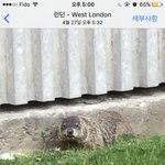 [댓글부탁해] 나 일본 쿼터<b>혼혈</b>인데