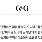 [레드벨벳] 5월에 슬기 <b>피처링</b> 한 노래 나와