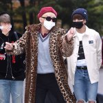 [방탄소년단] 같은 <b>호피</b>인데