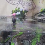 [거북이] 미시시피머드<b>터틀</b>키우기