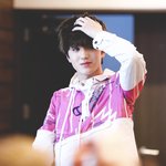 인간 벚꽃같다는 <b>SF9</b>찬희