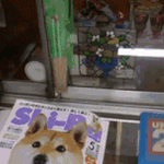 <b>시바</b>...정말 너란 녀석...