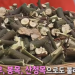 '<b>벌</b>나무' 한잔을 매일 마실<b>때</b> 생기는 놀라운 변화