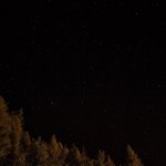 [꼭조언부탁] 조만간 고양이 키우는데 도와줘