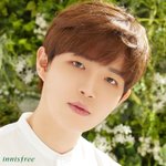 [워너원] ㅇㄴㅅㅍㄹ 워너원 <b>b컷</b>