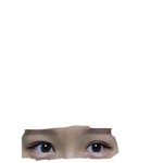 얘들아 나 <b>쌍수</b> 망한 눈 같아 ??