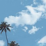 [댓글부탁해] 제발 현타+현망진창일때 ㄹㅇ어떡하냐 <b>해답</b>좀