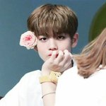 [워너원] <b>진영아</b> 생일 축하해❤❤❤