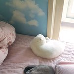 [고양이] 사랑스런 <b>다섯</b>마리 고양이를 소개합니다.