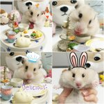 [간단한요리] 핑구랑 사는 자취녀의 집밥, 일상9