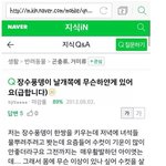 [명랑엽떡] 불쌍한 장수<b>풍뎅이</b>