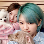 간만에 유자매 셀카 공개한 정연