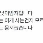 하이웨스트 <b>롤</b><b>업</b>반바지 유행타나?