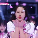 [<b>팬톡</b>] 프로듀스 48