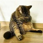 <b>실장</b>되고 멘탈 개 깨진다 하;;;;