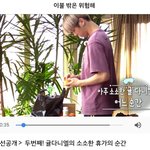 두번째! 귤다니엘의 소소한 휴가의 순간 (<b>미방</b>분 네캐/강다니엘)