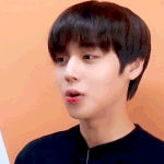 [<b>댓글</b>부탁해] 또박또박 <b>말</b>하는 박지훈ㅋㅋㅋ