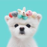 [댓글부탁해] 다들 몇살<b>이얌</b>???