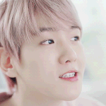 [백현] 네이처 백현 <b>ASMR</b> gif 2