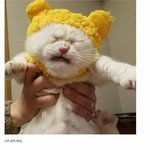 [댓글부탁해] 나 <b>유리</b>공장 알바해봤는데 ㅈㄴ힘들어