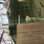 [댓글부탁해] 저는 <b>워마드</b>를 적극적으로 방관할 것입니다.