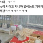 [댓글부탁해] 남친하고 싸웠는데