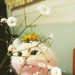 내 <b>짝녀</b> 판하더라
