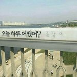 낯선사람대화 그 <b>랜챗</b>앱 없어짐??