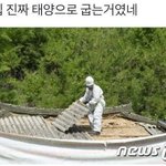 오늘 서코 가는 사람?
